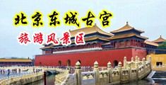 国产操鸡中国北京-东城古宫旅游风景区